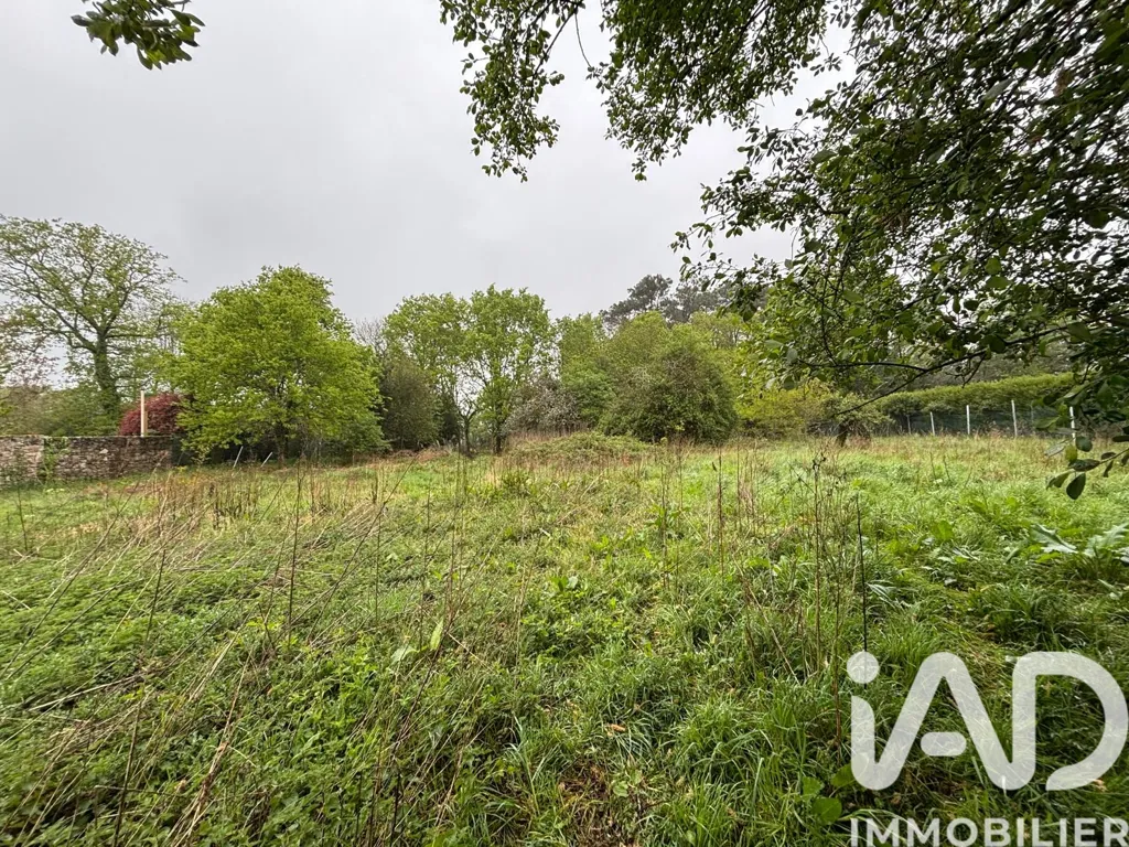 Aed - Longère with Garden in Plescop