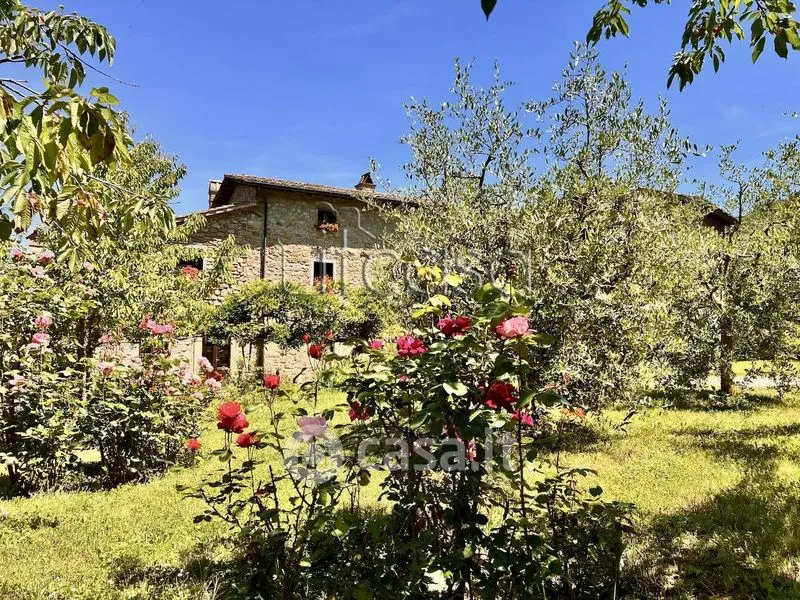 Aed - Rustic Tuscan Casale with Olive Grove in Anghiari