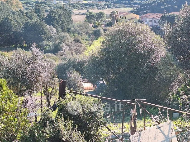 Aed - Historic Villa with Garden in Terridi, Bosa