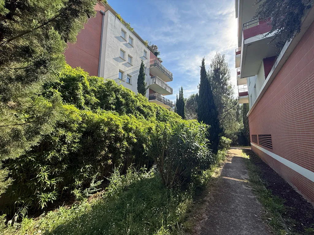 Jardin - Appartement avec Terrasse et Piscine à Toulouse