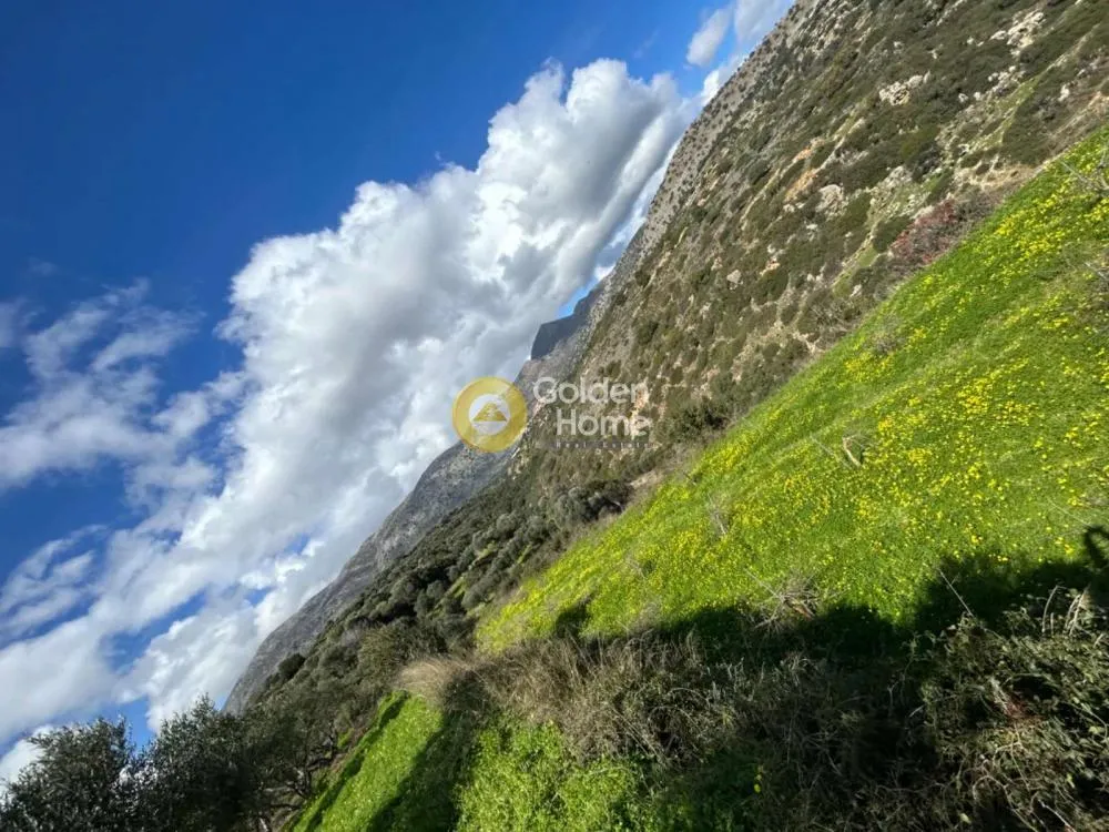 Aed - Plot with Sea View in Malavizi, Tylisos