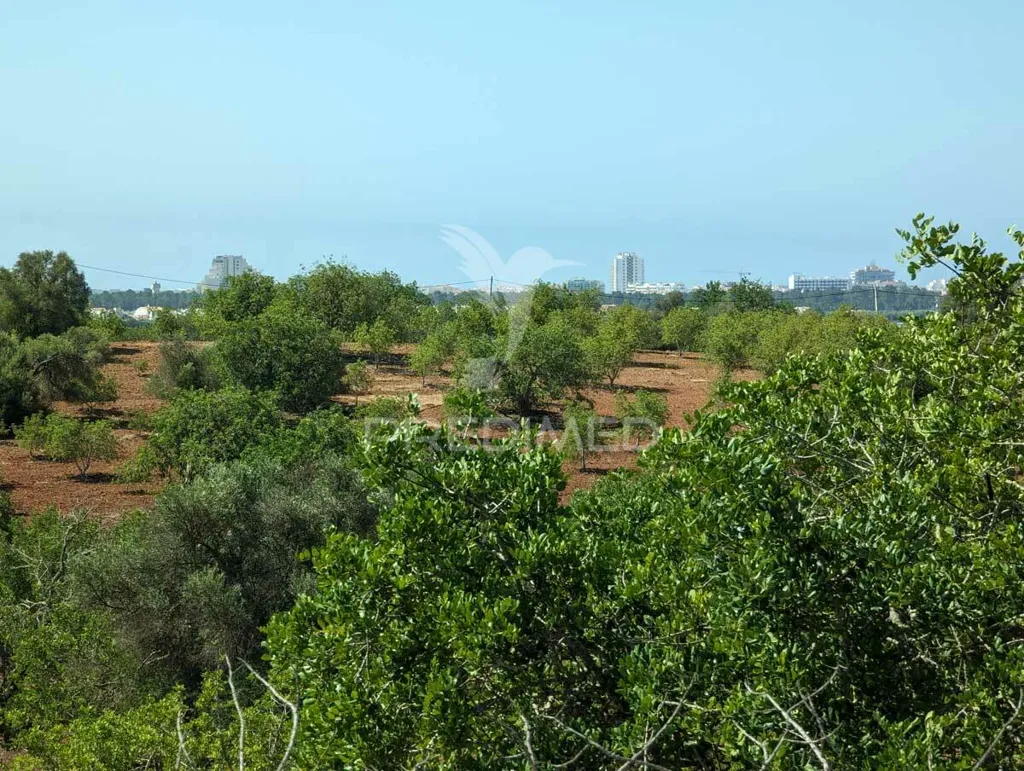 Jardin - Herdade with Ruin in Castro Marim