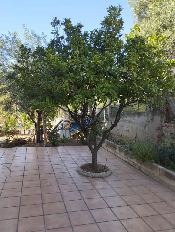 Terrasse - Luxury House with Four-Winds Design in Castellbisbal