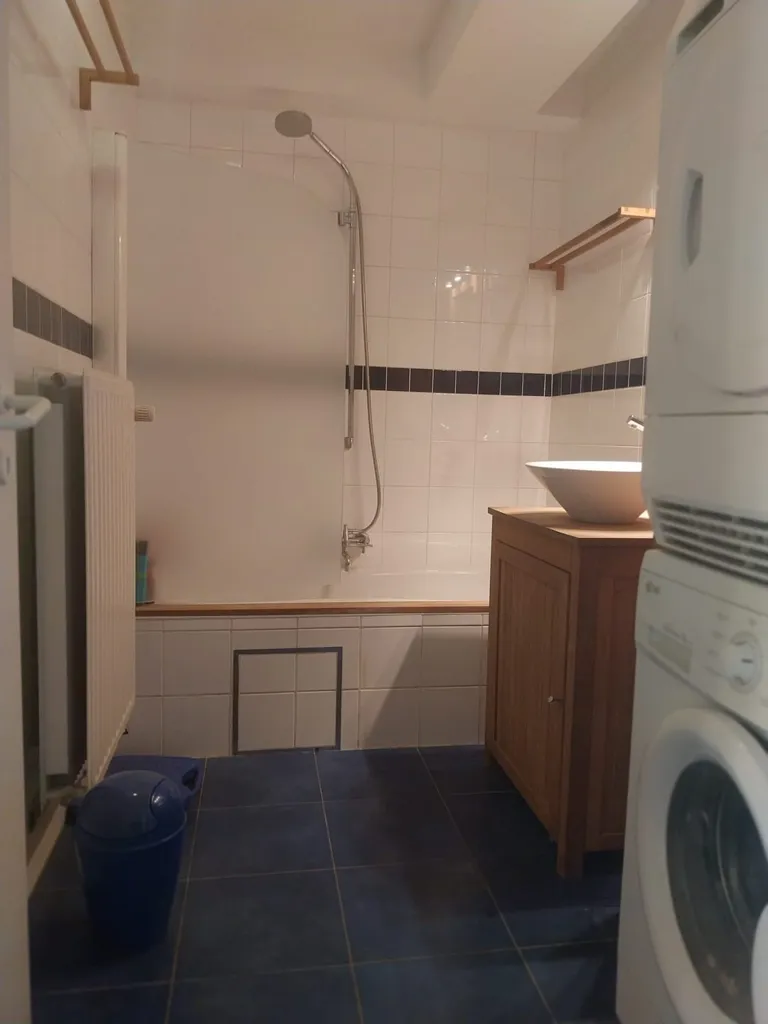 Buanderie - Appartement avec Terrasse au Albertpark à Anvers