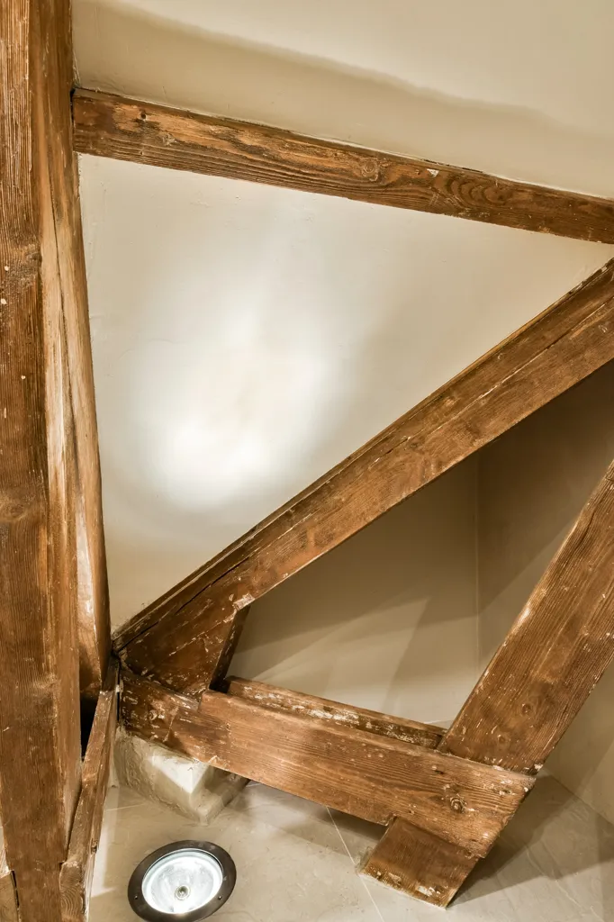 Toad - Corner Duplex with Skylights in De Pijp