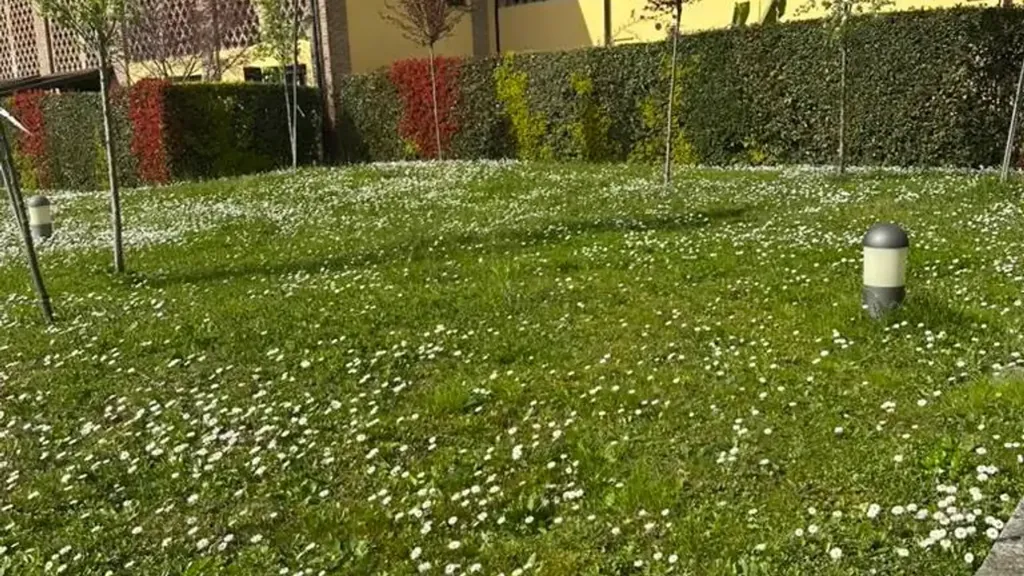Giardino - Studio with Private Garden in Vimercate