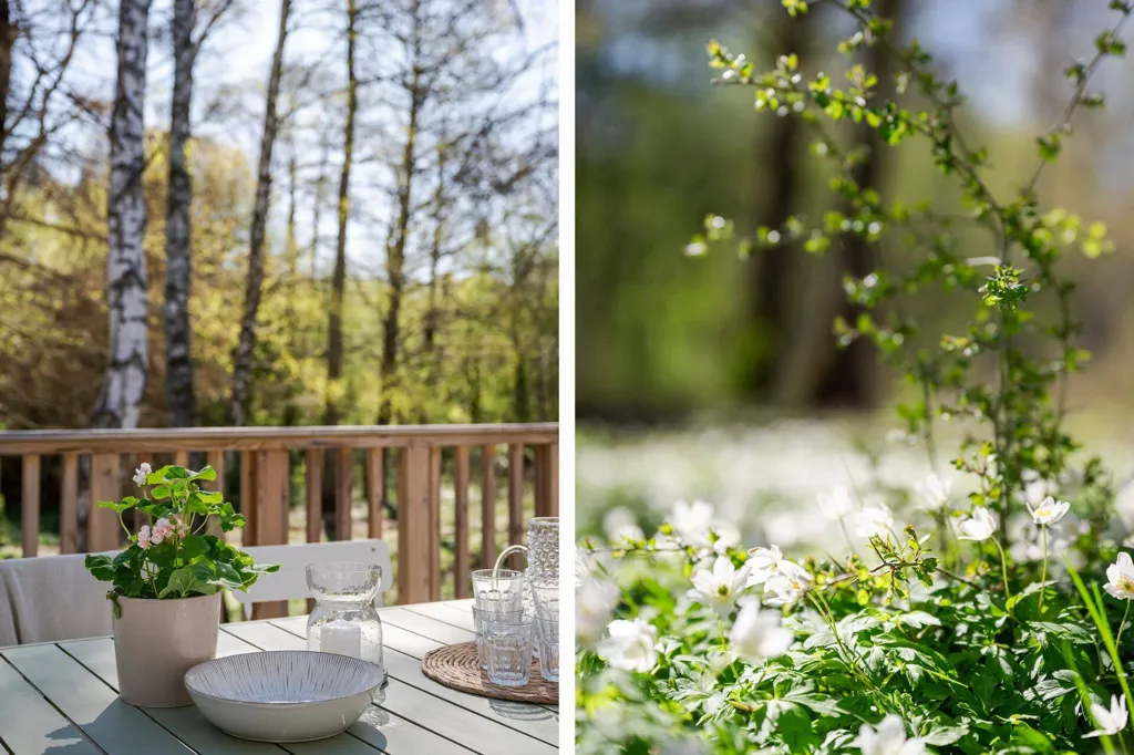 Aed - New Bungalow with Forest View in Hörby