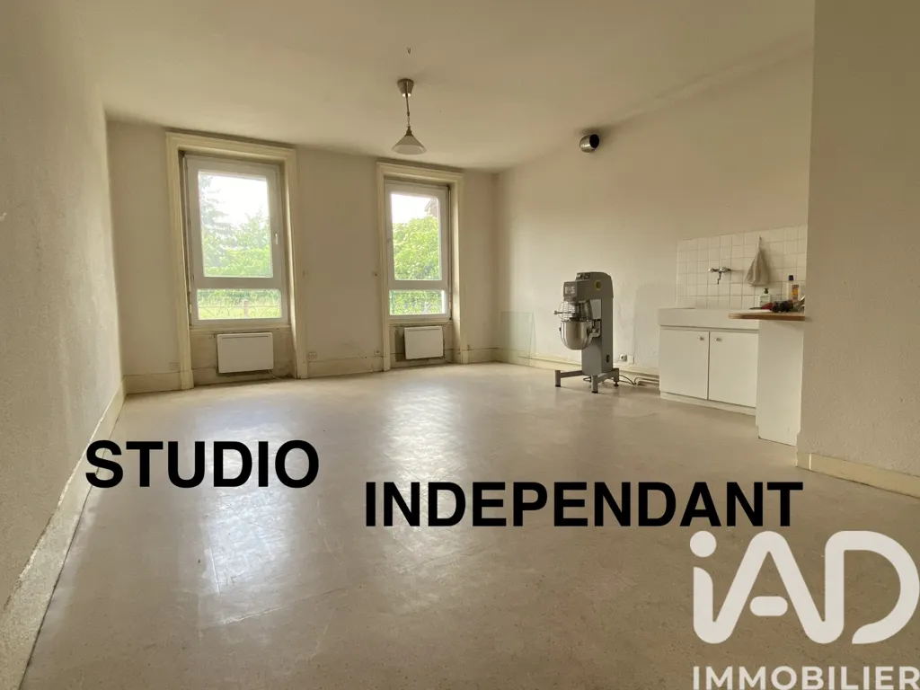 Toad - House with Studio in Saint-Chamond