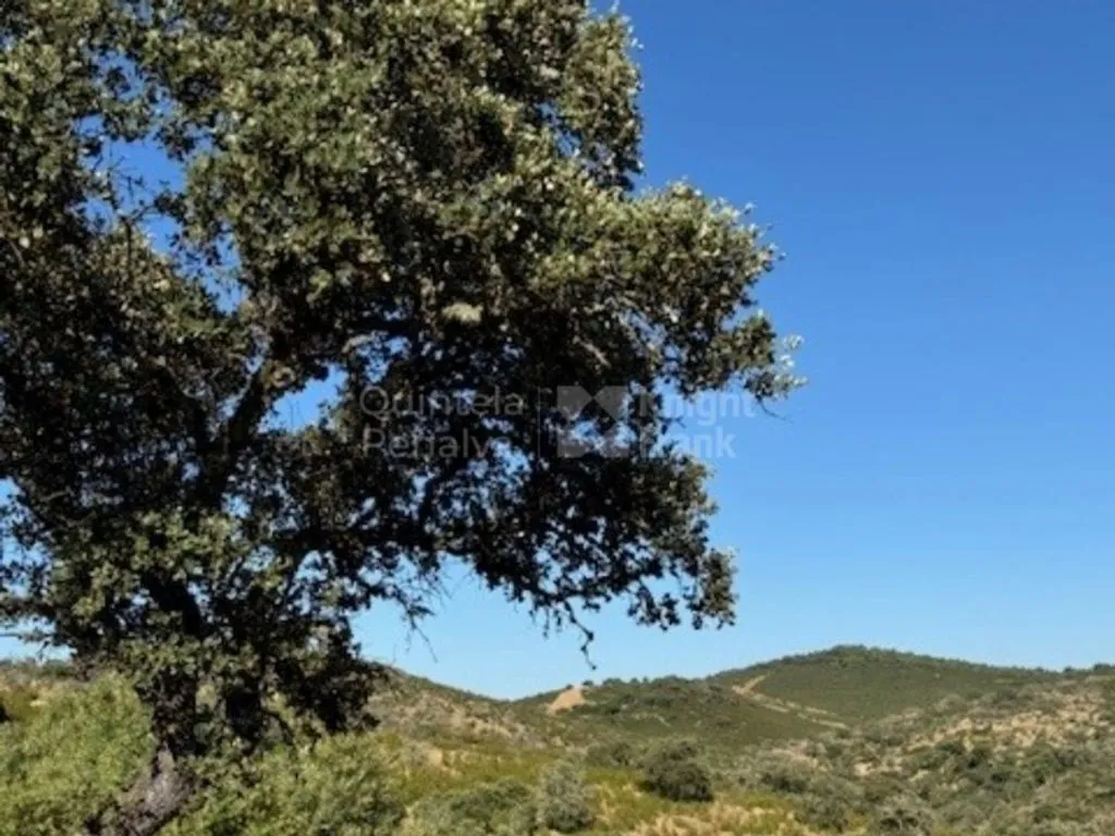Aed - Development Land with Ruins near Monsaraz