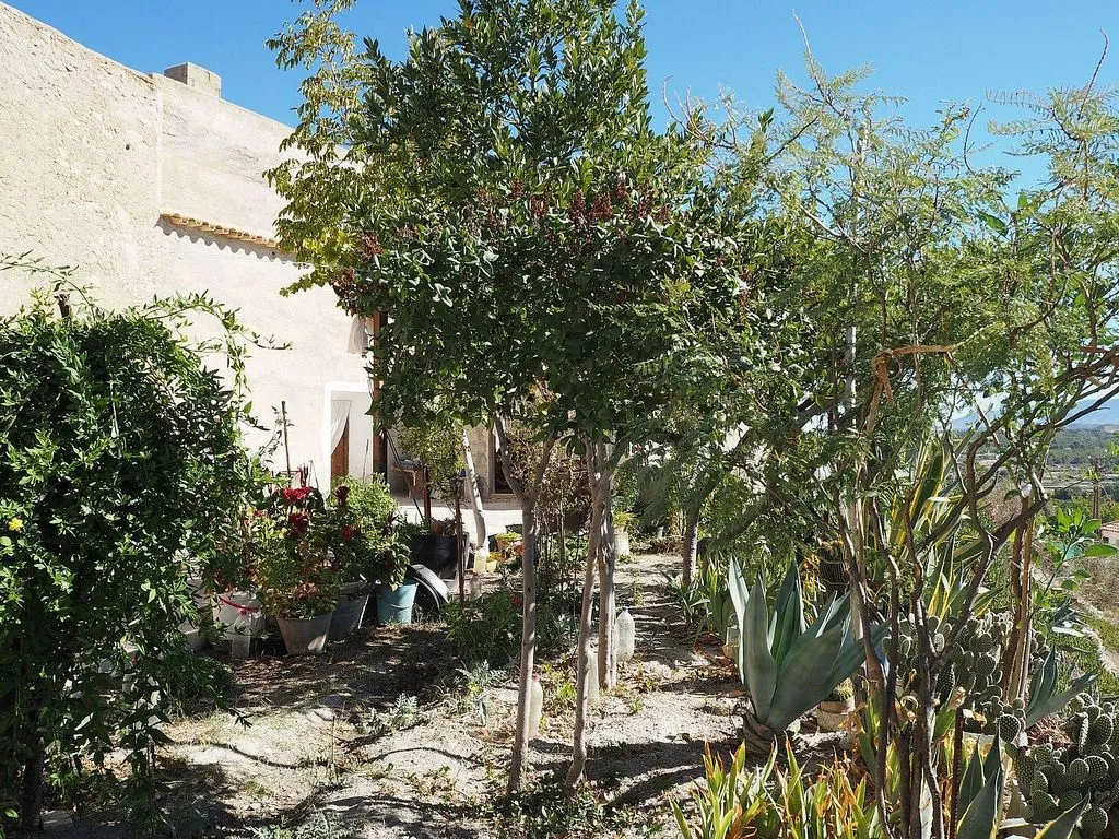 Aed - Unique Cave House in Benamaurel, Granada