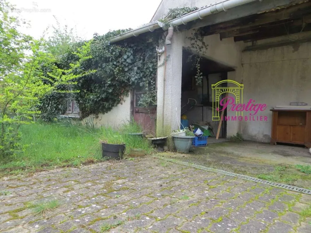 Aed - Luxury House with Greenbelt View in Le Mesnil-le-Roi