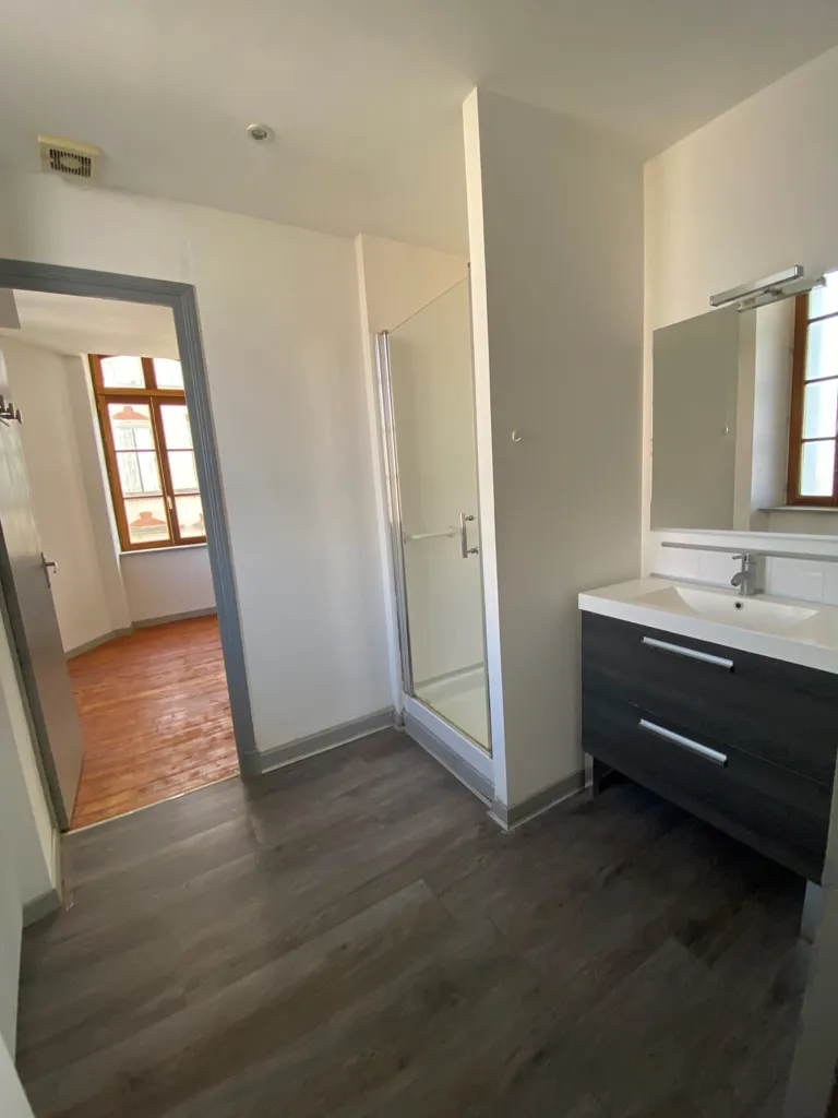 Salles de bain - Appartement Rénové de Type 3 au Centre de Castelnaudary
