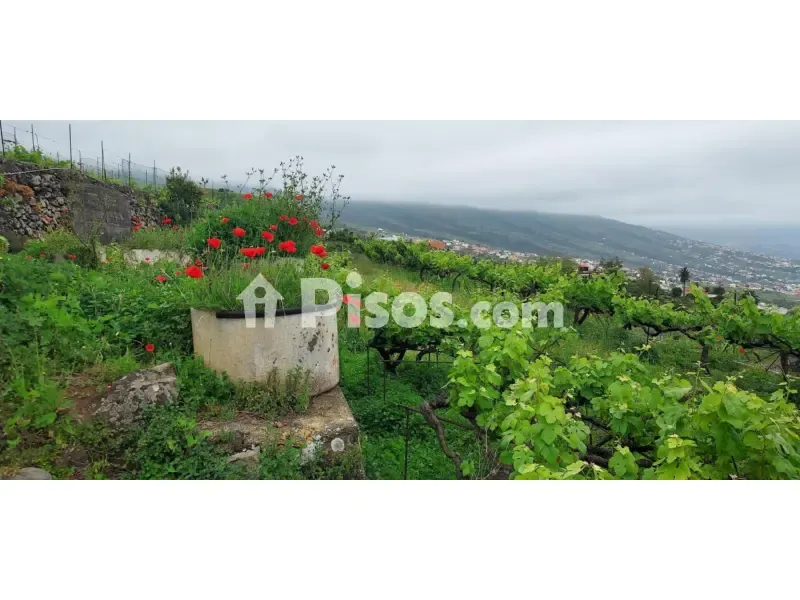 Aed - Rustic Farmhouse with Bodega near Calle Real
