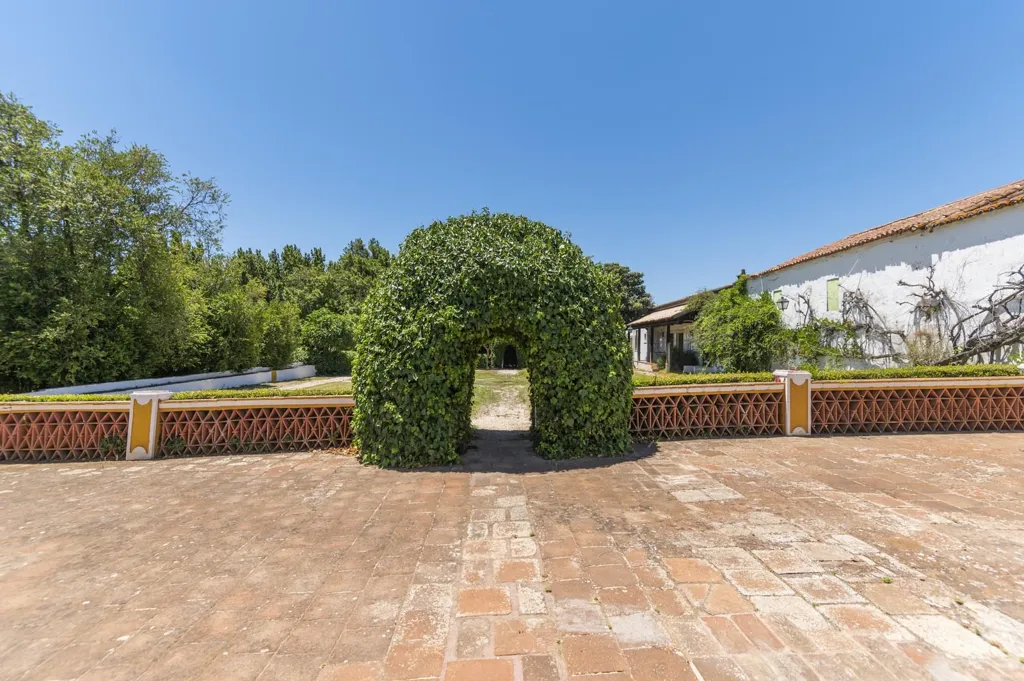 Aed - Farm with Antique Style Accommodations in Elvas