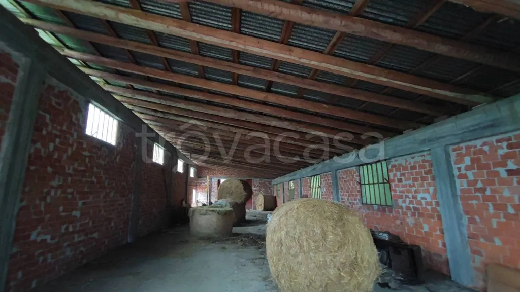 Toad - Villa Project with Garden in Chiusa di Pesio
