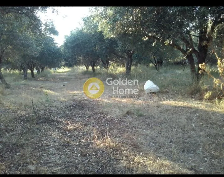 Jardin - Plot for Development with Sea View in Agios Konstantinos