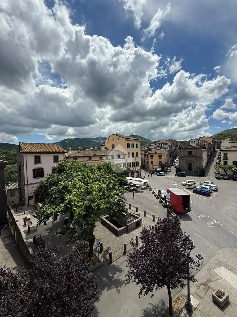 Historic Apartments with Piazza View in Bagnaia