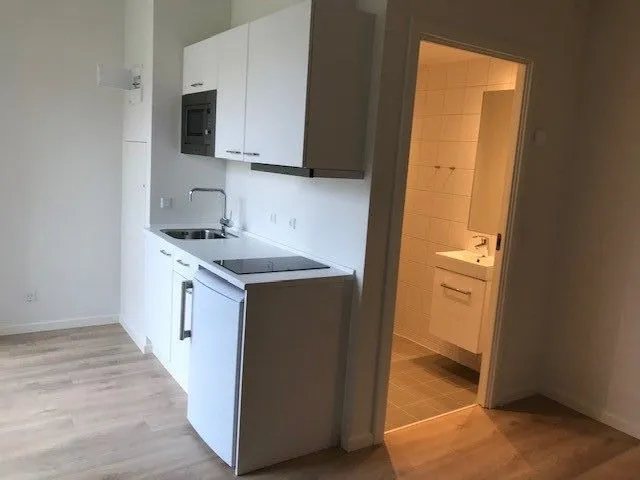 Cuisine - Compact Apartment with Balcony in Amager