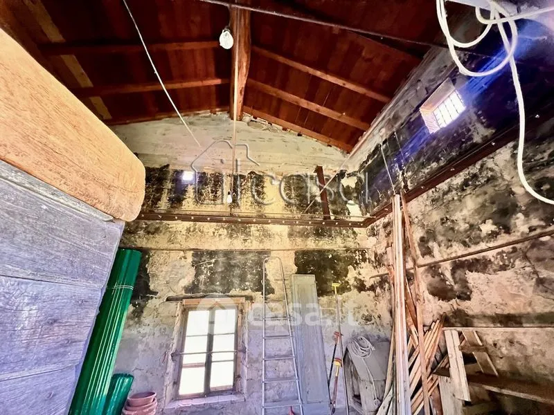 Toad - Rustic Tuscan Casale with Olive Grove in Anghiari