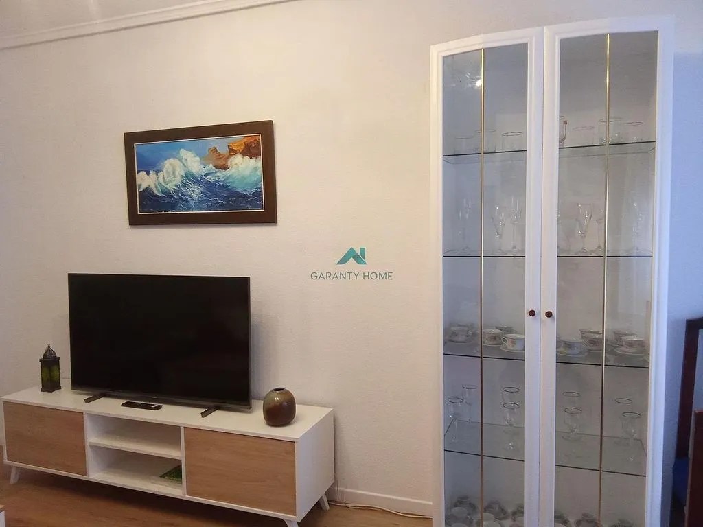Séjour - Furnished Apartment with Terrace in Laredo