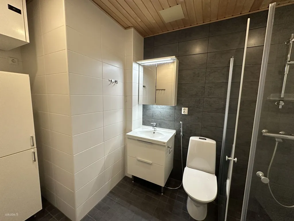 Bagni - Spacious Apartment with Balconies in Kuopio