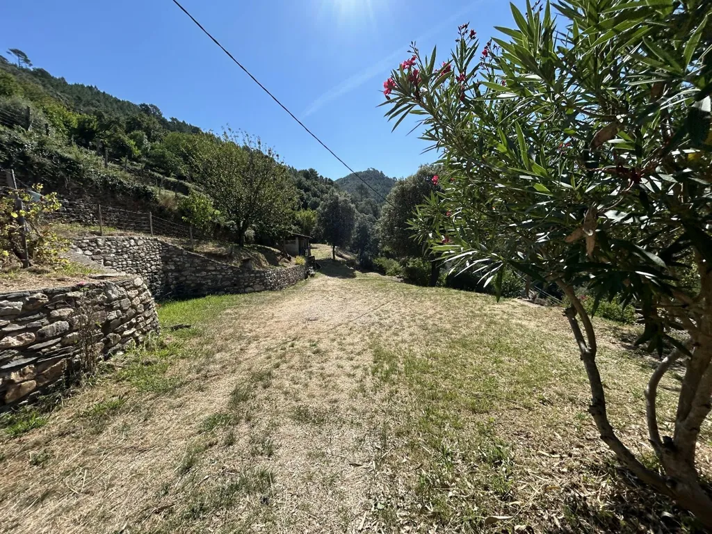 Giardino - House with Mountain View in Cévennes