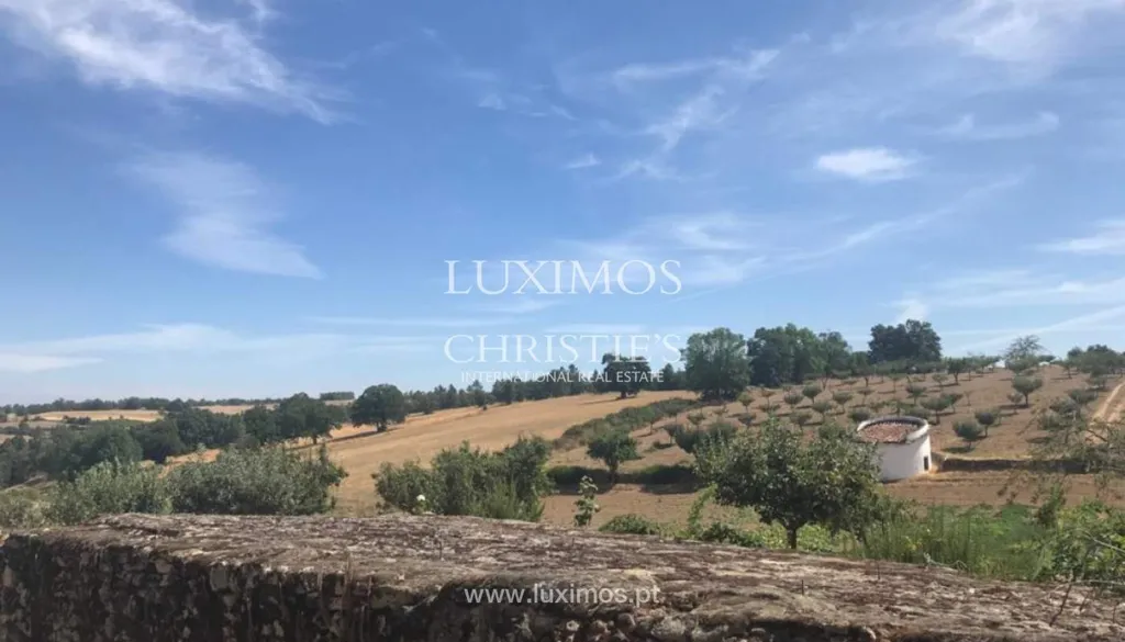 Garden - Rustic Quinta with Agro Tourism in Vimioso