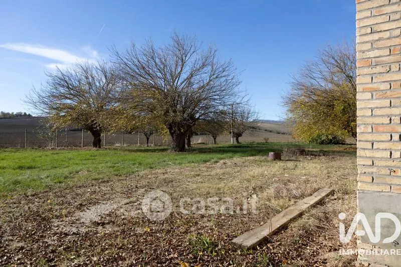 Giardino - Traditional Rustico with Olive Trees in Appignano