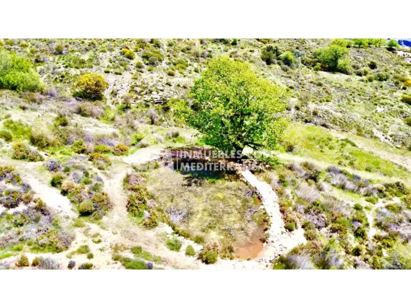 Õhuvaade - Rustic Finca with Water Source in Sierra de Júbar