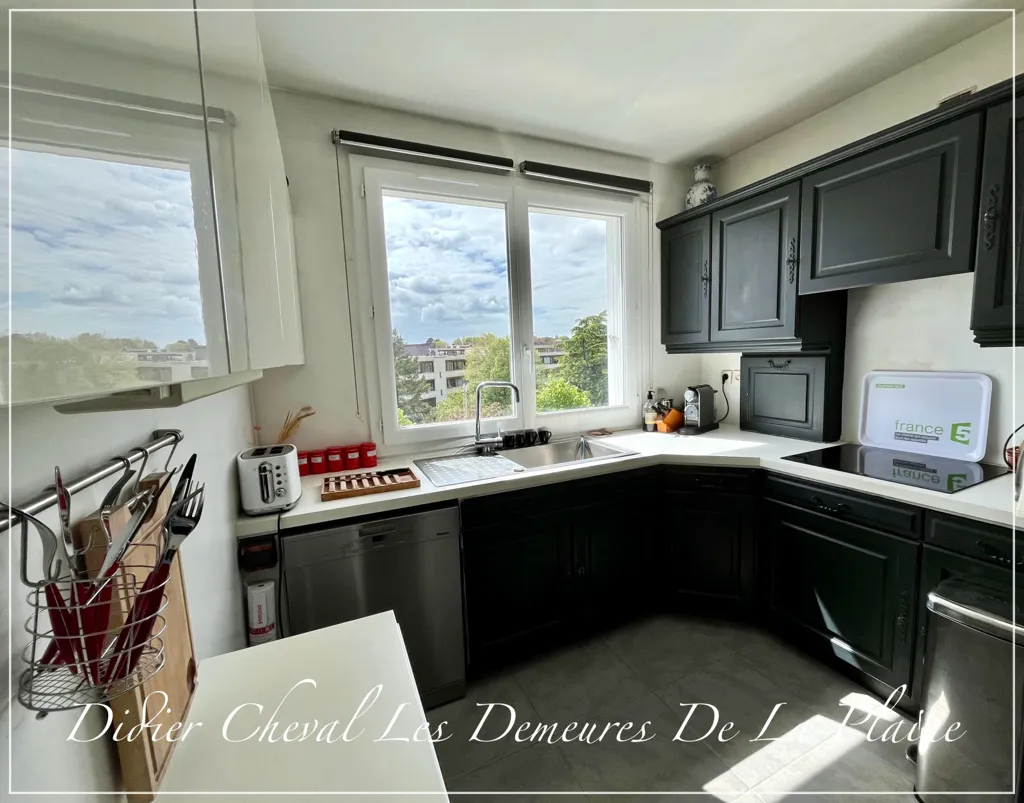 Cuisine - Duplex avec Vue Dégagée au Centre de Bailly
