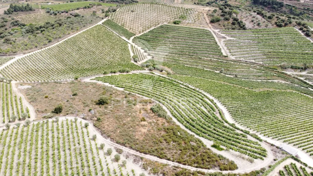 Õhuvaade - Agricultural Quinta with Vineyard in Cedovim