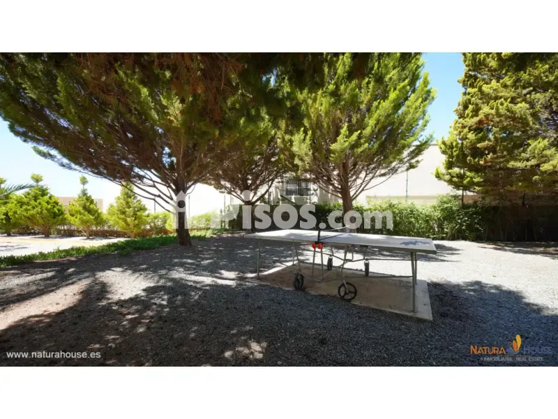 Jardin - Penthouse with Sea View in Limonar