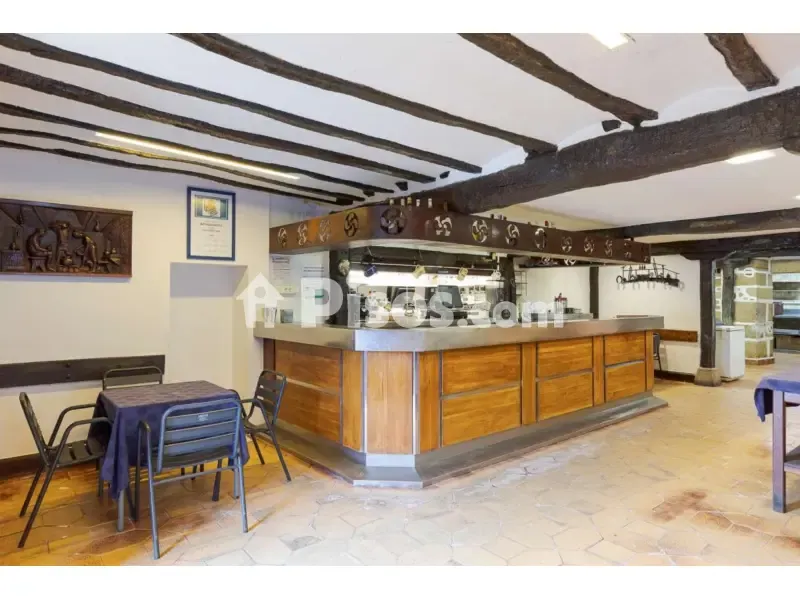 Toad - Historic Casa with Bar-Restaurant in Igeldo