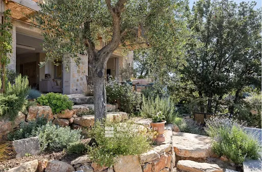 Jardin - Villa de Luxe avec Piscine à Valbonne