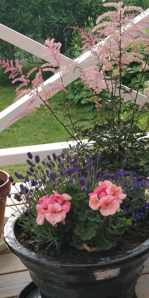 Jardin - Cottage with Garden near Umeå