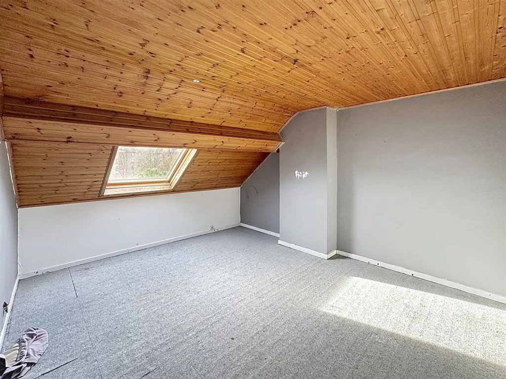 Toad - Renovated Mixed-Use Property in Waterloo