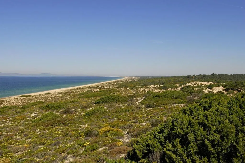 Plot for Villa with Pool in Comporta