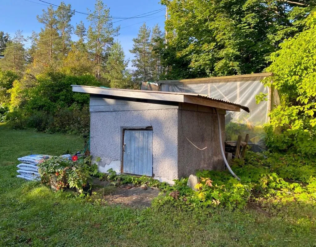 garden