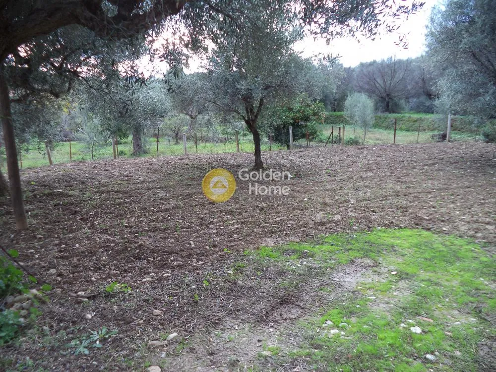 Jardin - Buildable Plot with Sea View in Selinountas