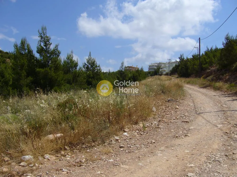 Jardin - Corner Plot House with Sea View in Diony
