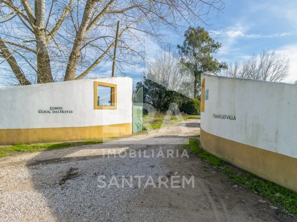 Jardin - Luxury House with Agricultural Land in Benfica do Ribatejo
