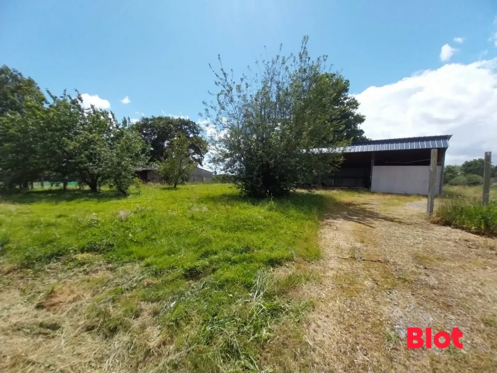 Giardino - Rustic House with Garden in Sion les Mines