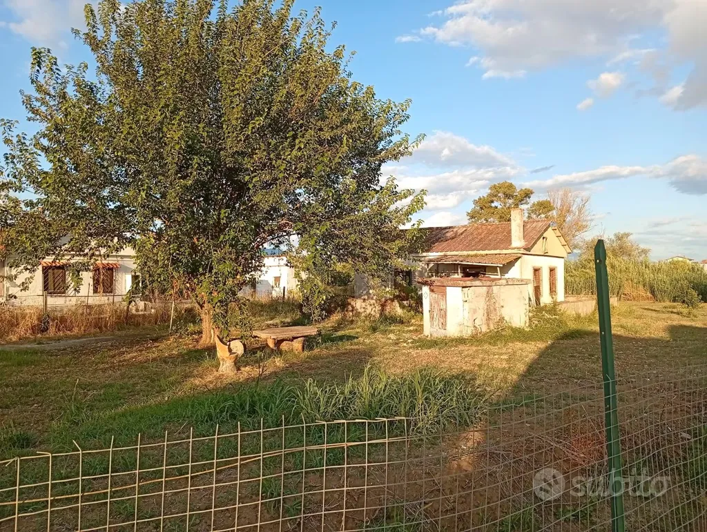 Jardin - Rustic Property with Large Garden in Pontecagnano Faiano