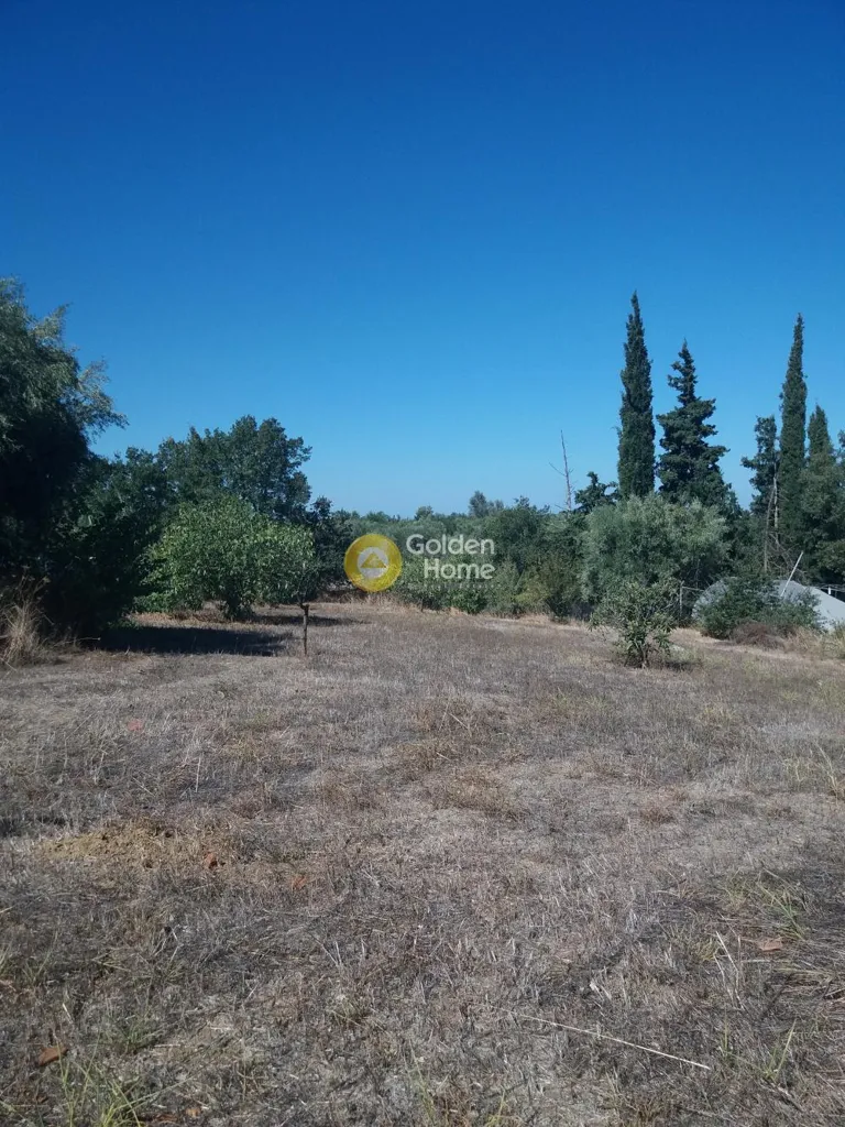 Aed - Plot with Mountain View in Olenia - Kalama