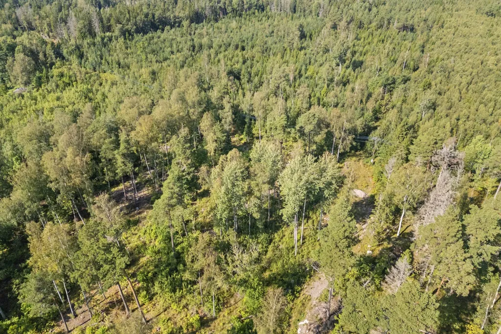 Õhuvaade - Building Plot with Water Access in Vätö