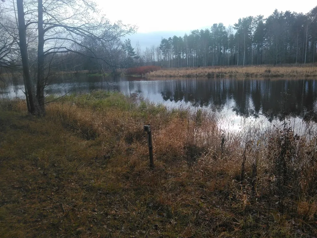 Giardino - Agricultural Land with Water Border in Mustvee