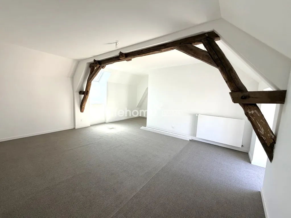 Toad - Converted Millhouse with Courtyard in Châteauroux