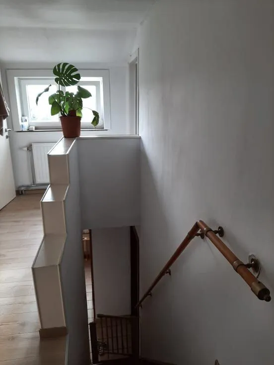 Toad - Four-Faced House with Large Garden in 900m² Plot