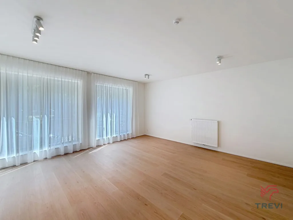 Toad - New Studio Flat in Central Brussels