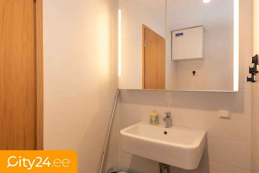 Vannitoad - Spacious Apartment with Large Balcony near Kadaka Park